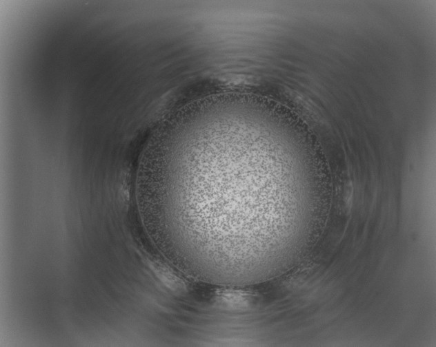 X0000073840710200608171007