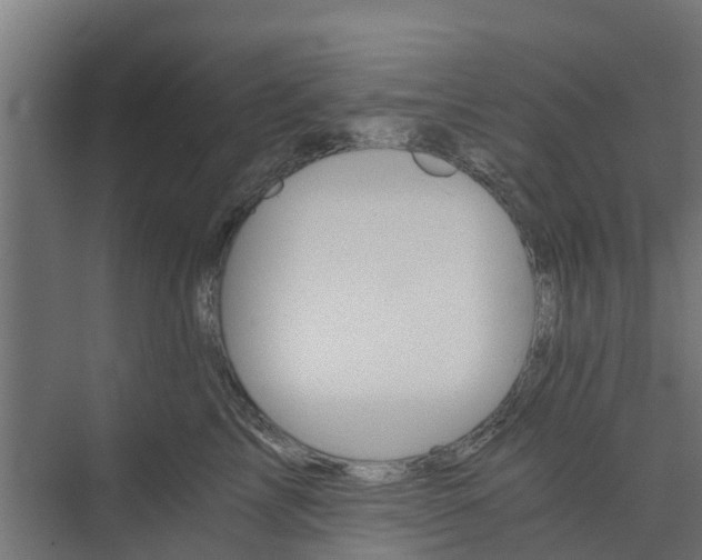 X0000073840713200608171007