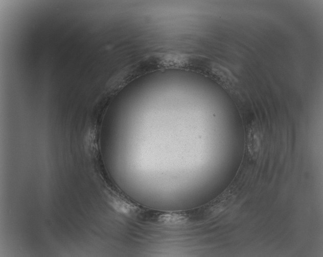 X0000073840714200608171007