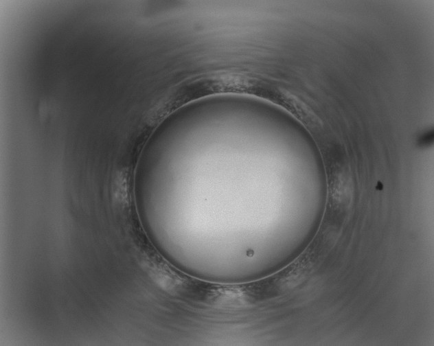 X0000073840715200608171007