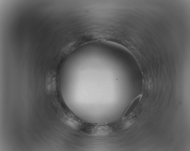 X0000073840716200608171007