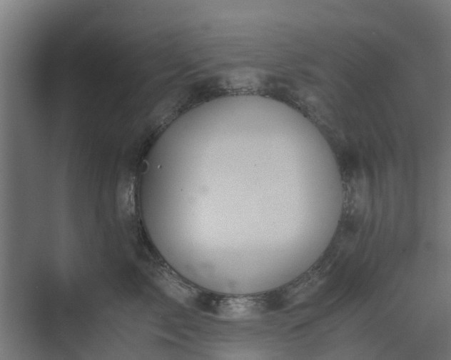 X0000073840717200608171007