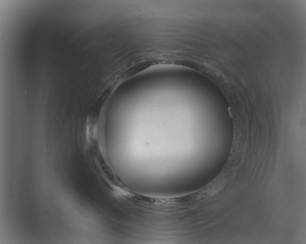 X0000073840720200608171007