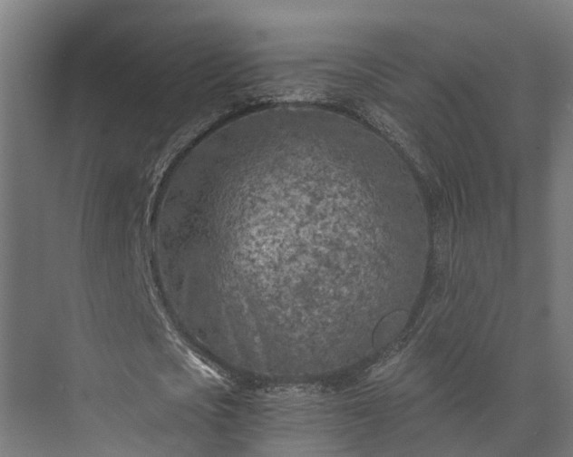 X0000073840721200608171006