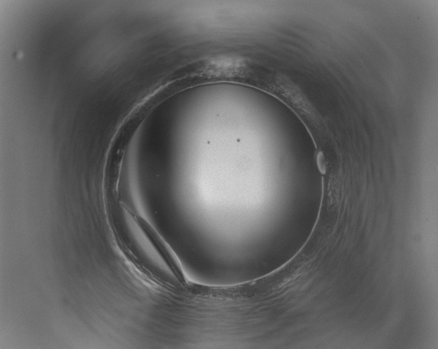 X0000073840722200608171006