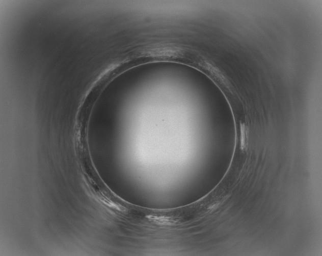 X0000073840723200608171006