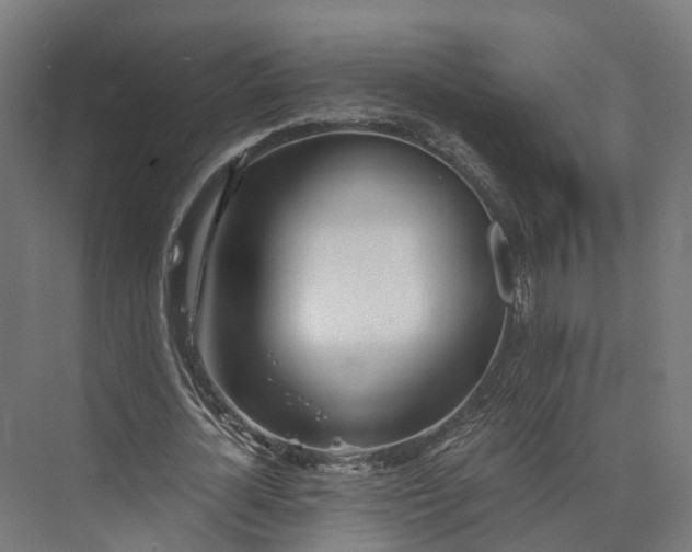 X0000073840724200608171006