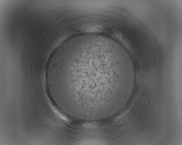 X0000073840725200608171006