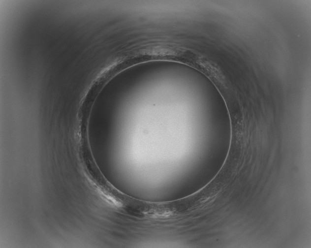 X0000073840727200608171006