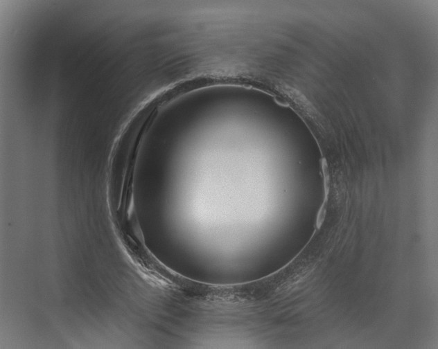 X0000073840728200608171006