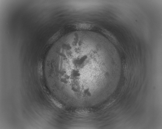 X0000073840729200608171006