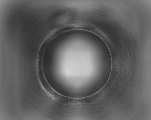 X0000073840730200608171006