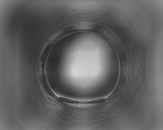 X0000073840731200608171006