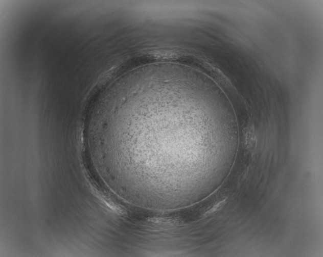 X0000073840733200608171006