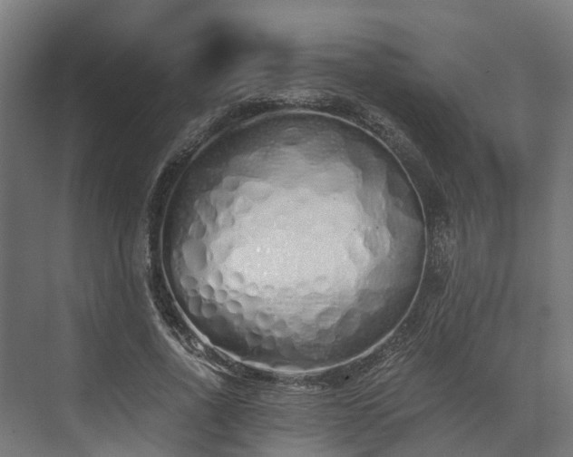 X0000073840734200608171006