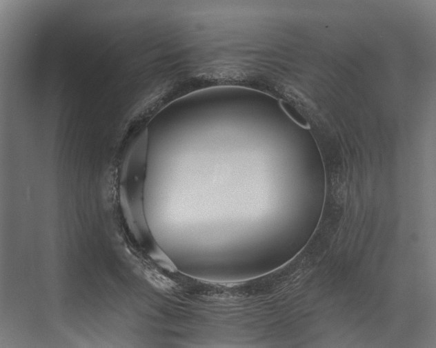 X0000073840735200608171006