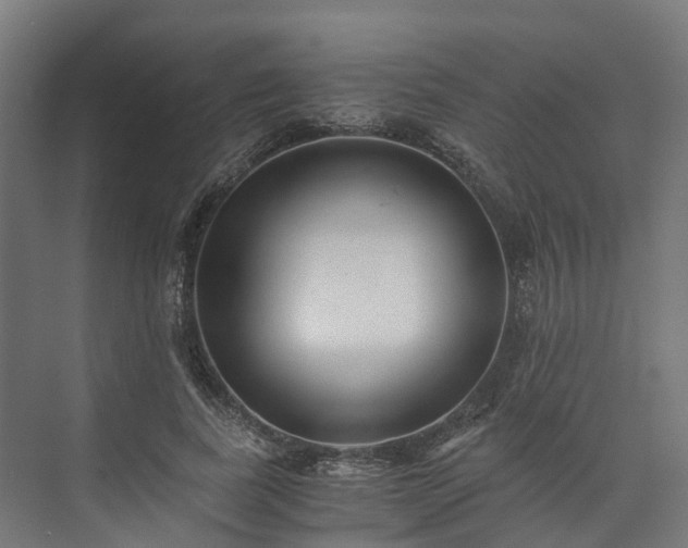 X0000073840739200608171006