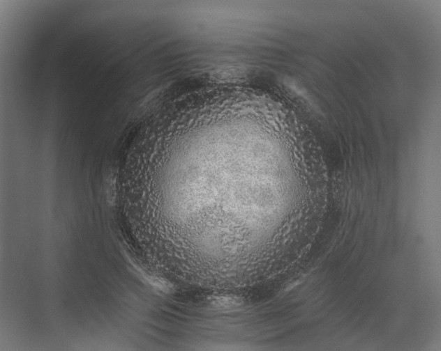 X0000073840741200608171006