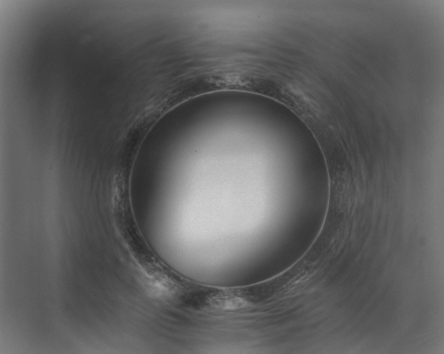 X0000073840747200608171006