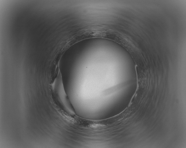 X0000073840748200608171006