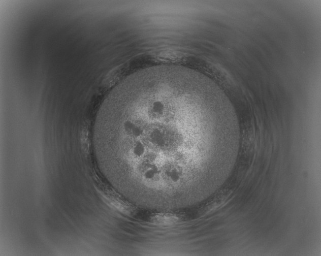 X0000073840749200608171006