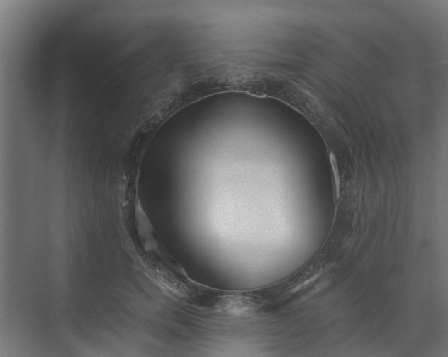 X0000073840750200608171006