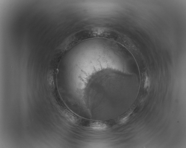 X0000073840754200608171006