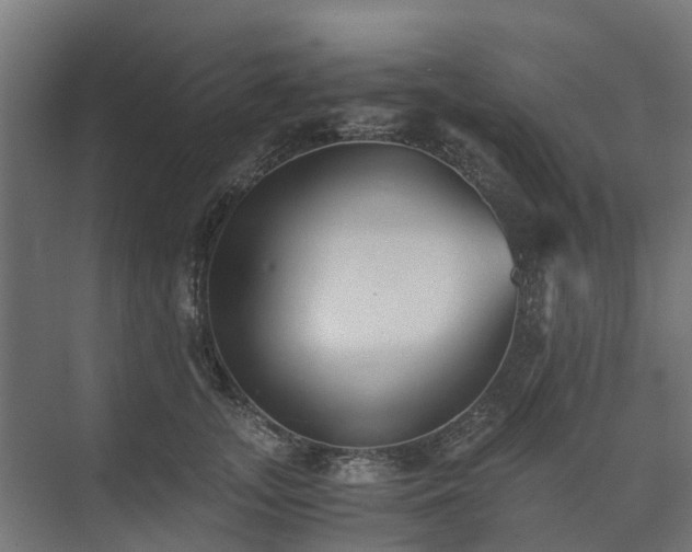 X0000073840755200608171006