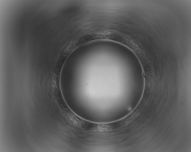 X0000073840758200608171006