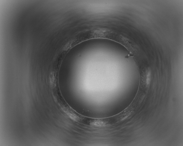 X0000073840759200608171006