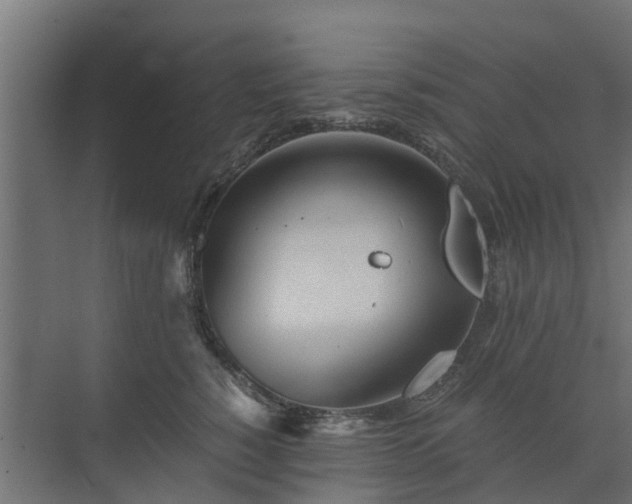 X0000073840760200608171006