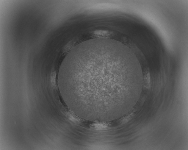 X0000073840765200608171007