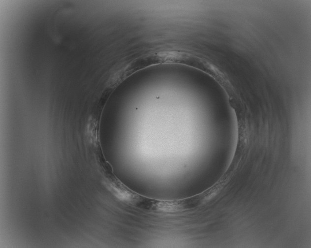 X0000073840766200608171007