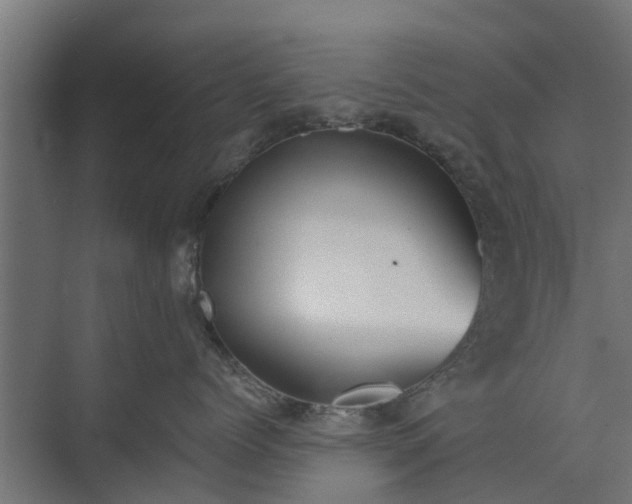 X0000073840768200608171007