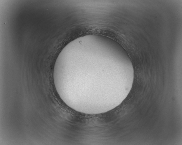 X0000073840769200608171006