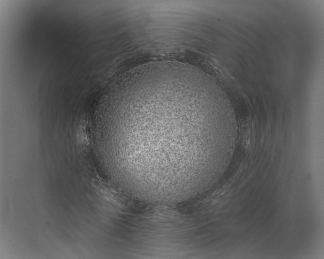 X0000073840770200608171006