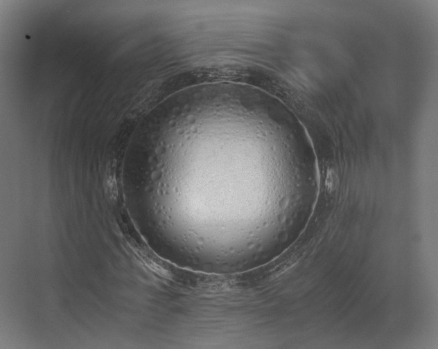 X0000073840771200608171006