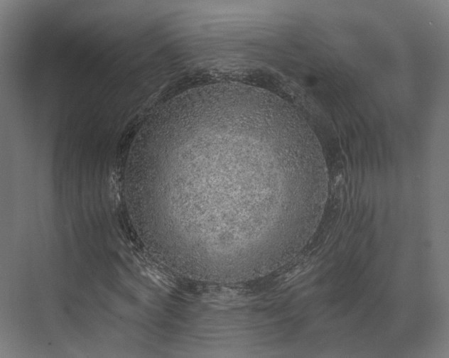 X0000073840772200608171006