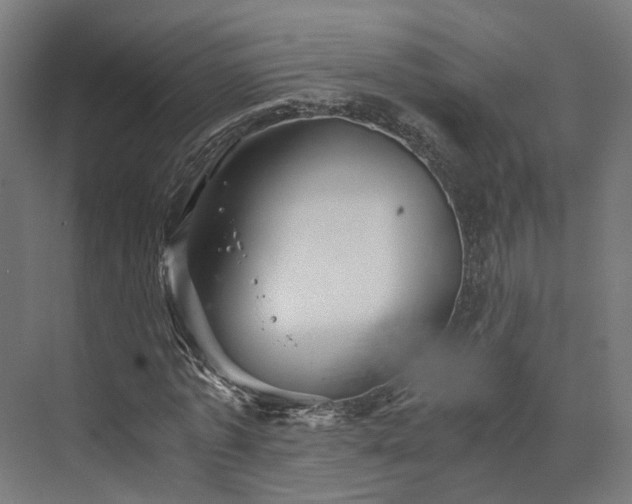 X0000073840773200608171006