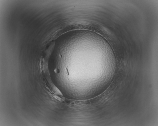 X0000073840774200608171006