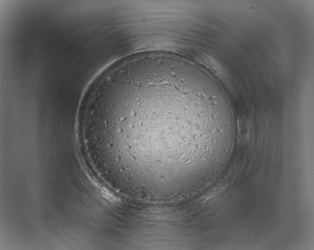 X0000073840780200608171006