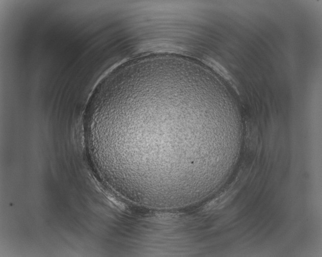 X0000073840782200608171006