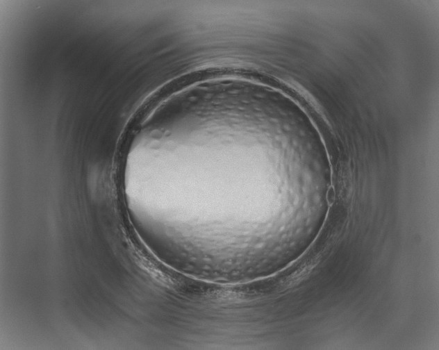 X0000073840783200608171006