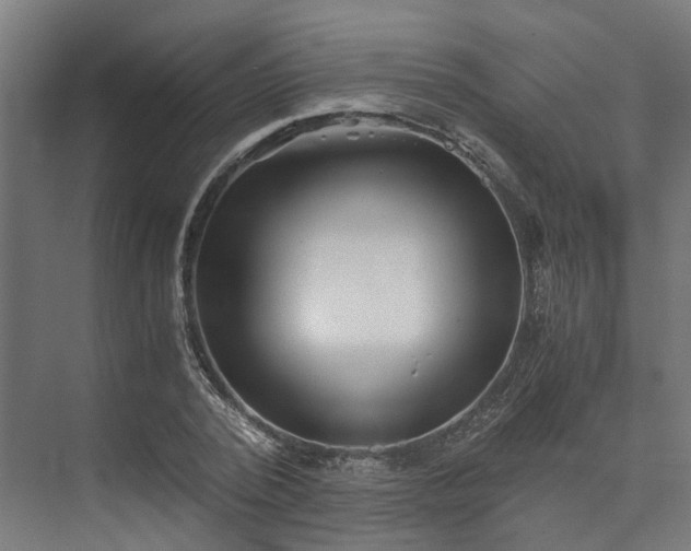 X0000073840784200608171006