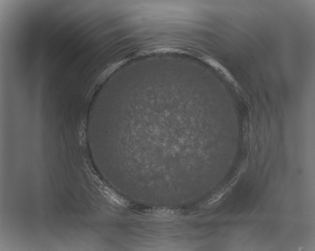 X0000073840785200608171006