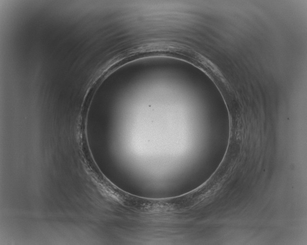 X0000073840786200608171006