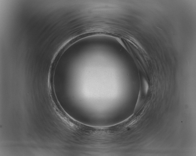 X0000073840788200608171005