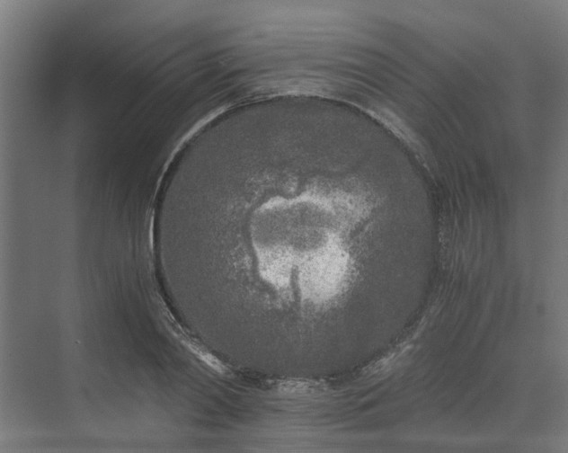 X0000073840790200608171005