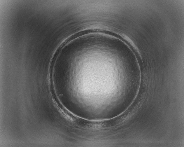 X0000073840791200608171005