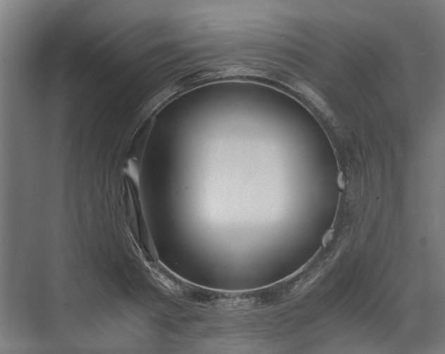 X0000073840793200608171005